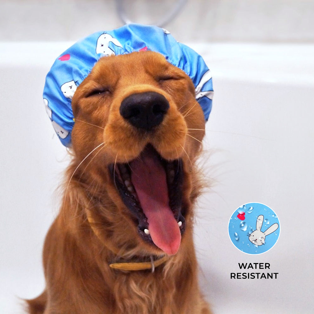 Shower caps for dogs